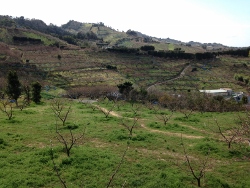 20140308minabebairin