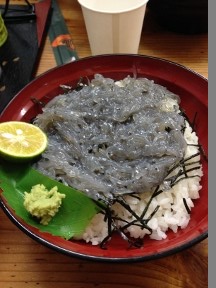 20151017namashirasudon.jpg