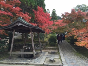 20151129momiji.jpg