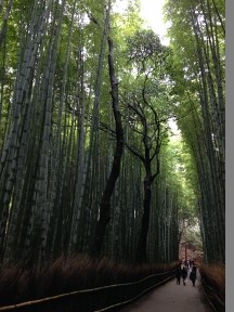 20160118chikurin.jpg