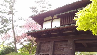 20180504hirosakijou.jpg