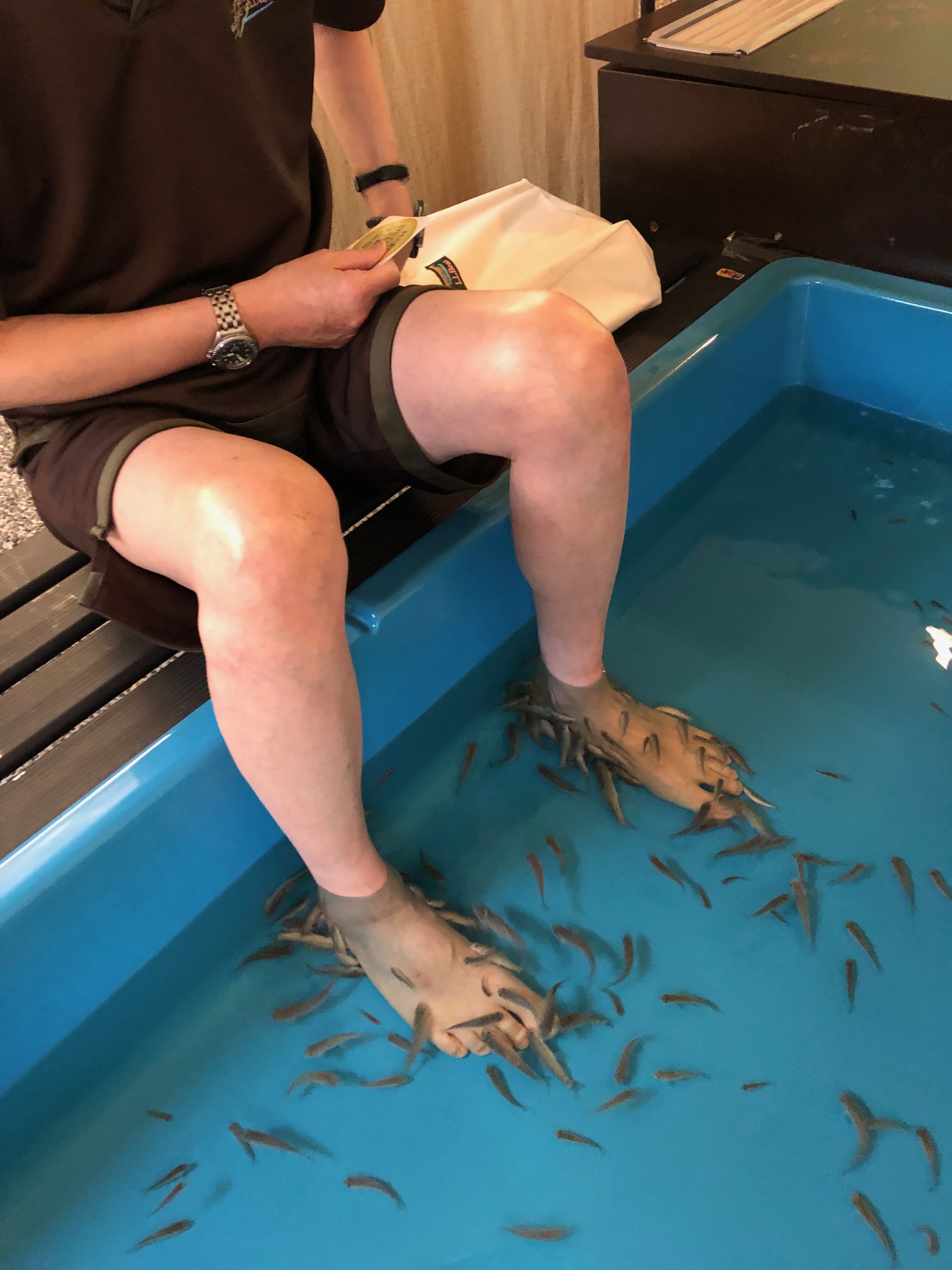 20230311fish.jpg