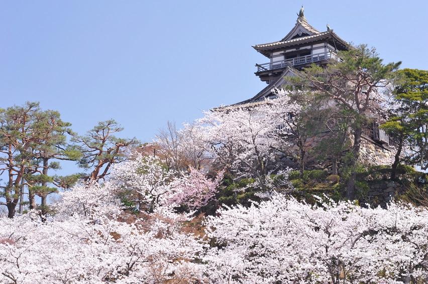 20200527maruokajo.jpg