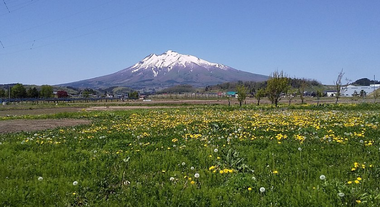 20200726iwakisan.png