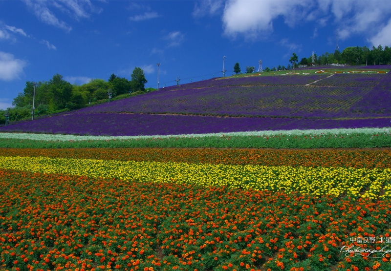 20200813furano.jpg