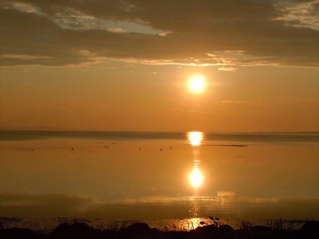 20200905saromako.jpg