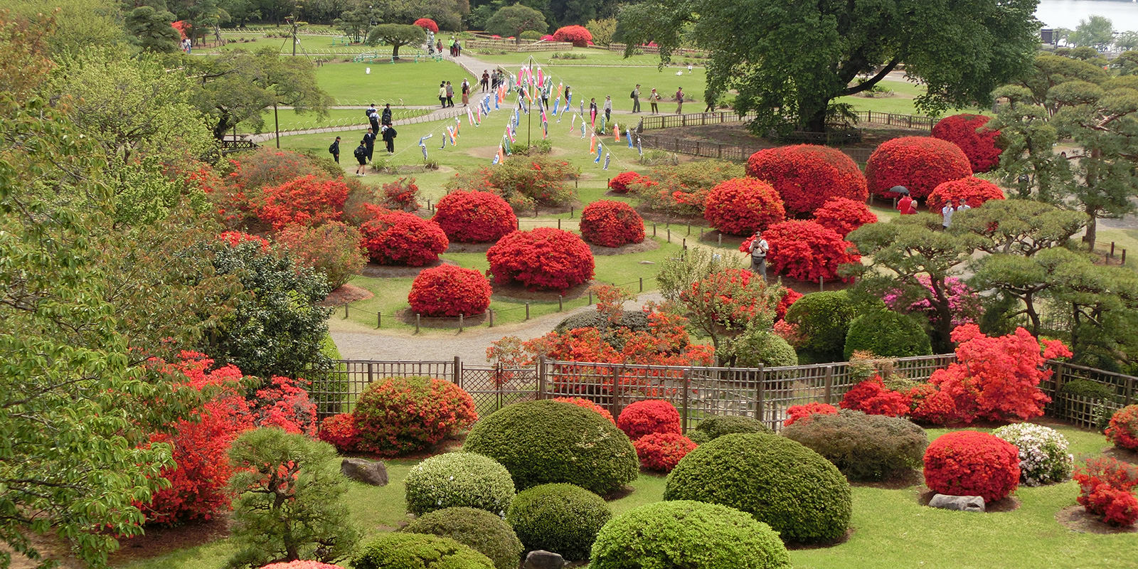 20201202kairakuen.jpg