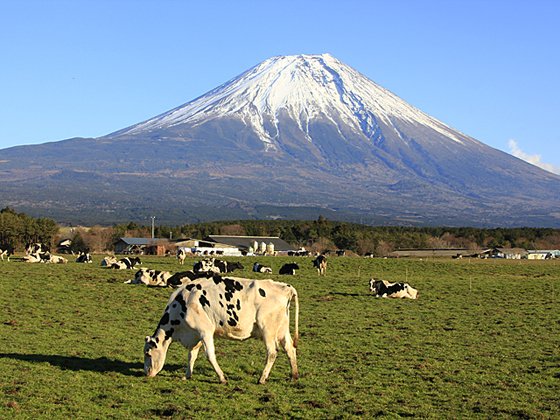 20201216fuji.jpg