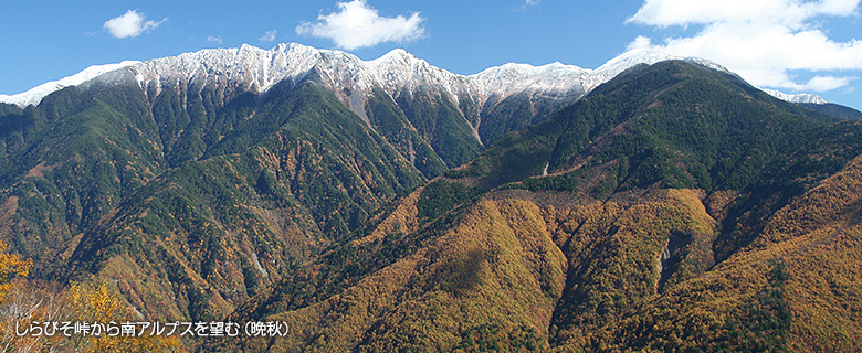 20210108shirabiso.jpg