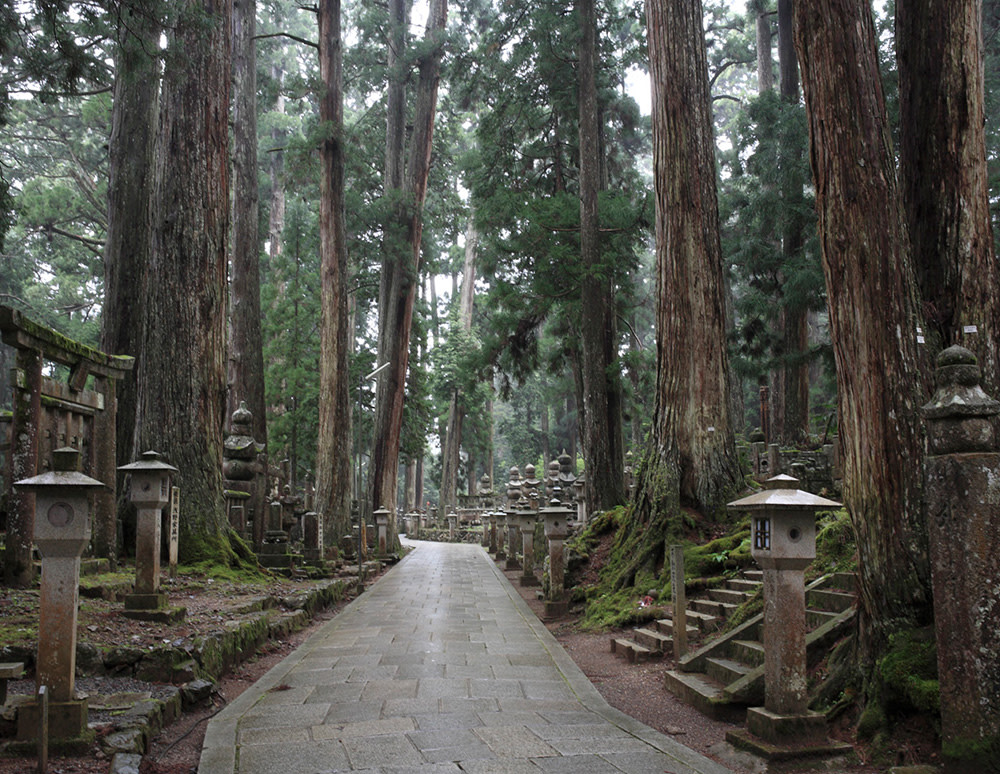 20210226kouyasan.jpg