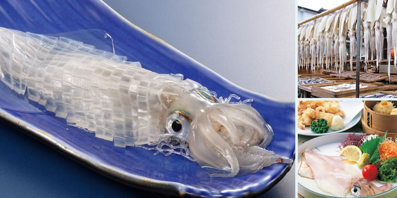 20210701yobuko.jpg