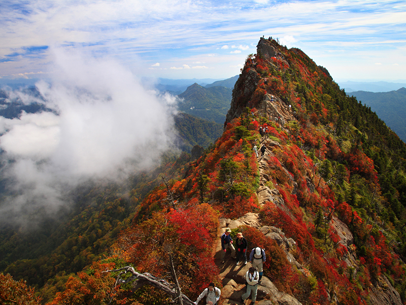 20220128ishiduchi.jpg